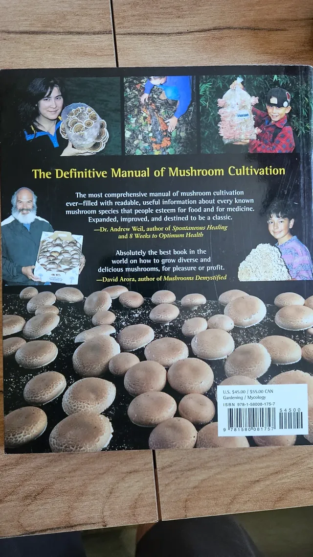 Miniatură 2