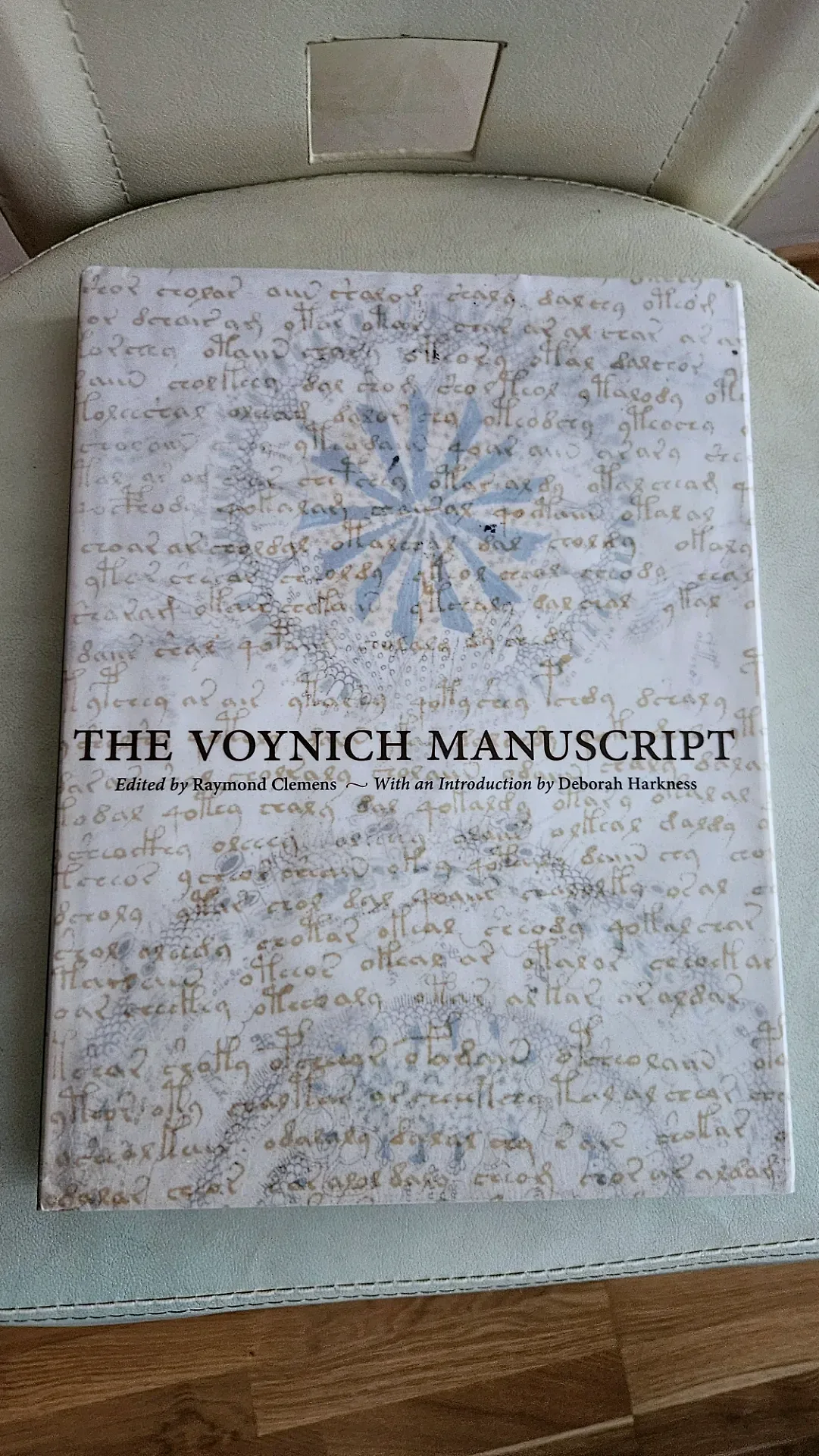 The Voynich Manuscript — poza 1