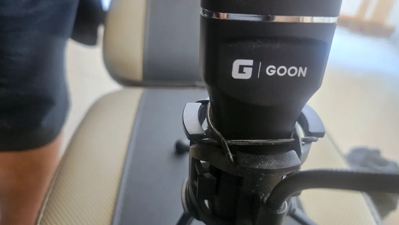 Microfon cu condensator Goon, Korea — poza 2