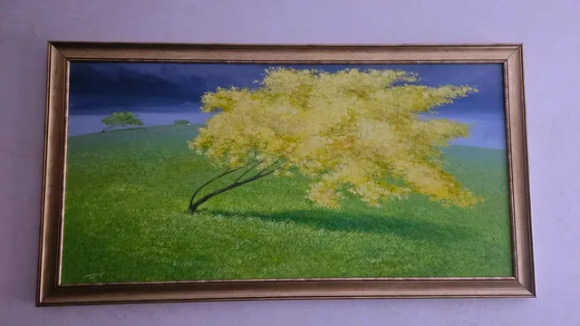 Miniatură 1