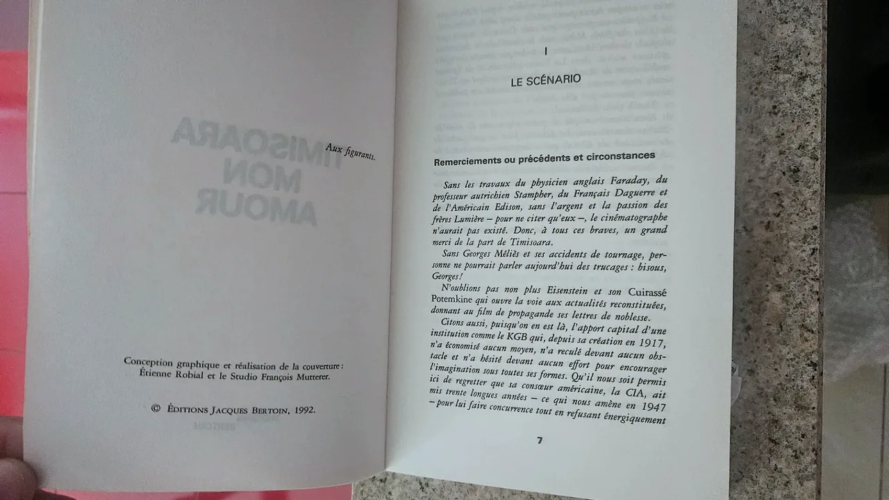 Timișoara Mon Amour — poza 3