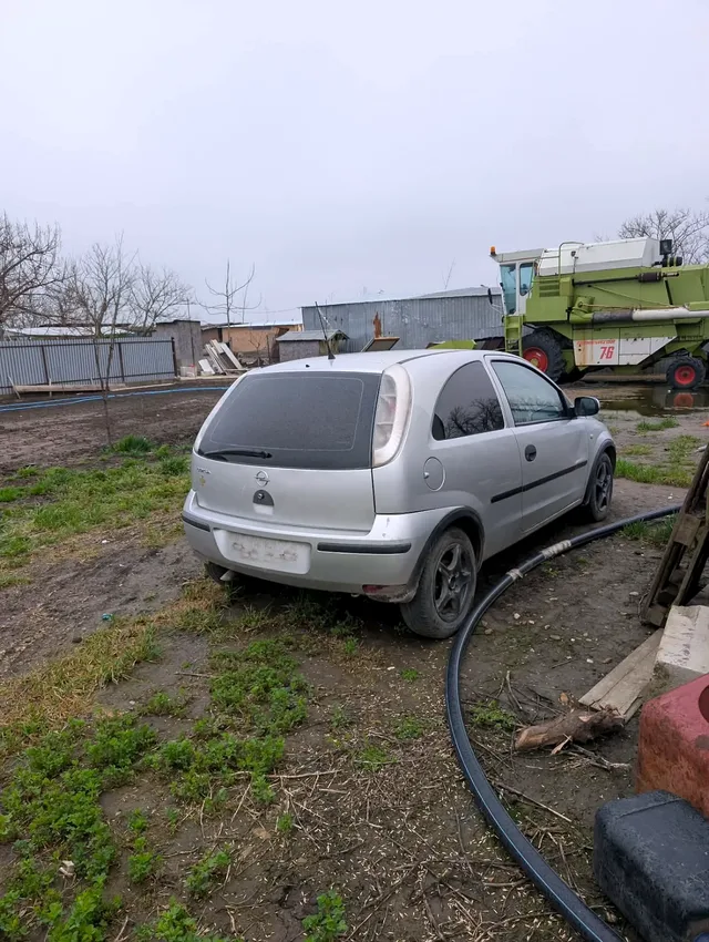 Miniatură 2