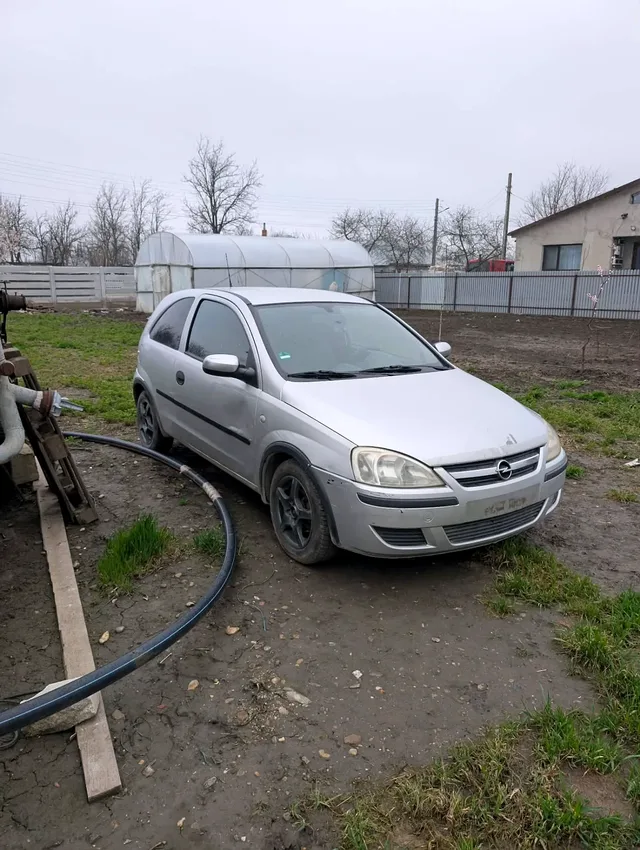 Miniatură 3