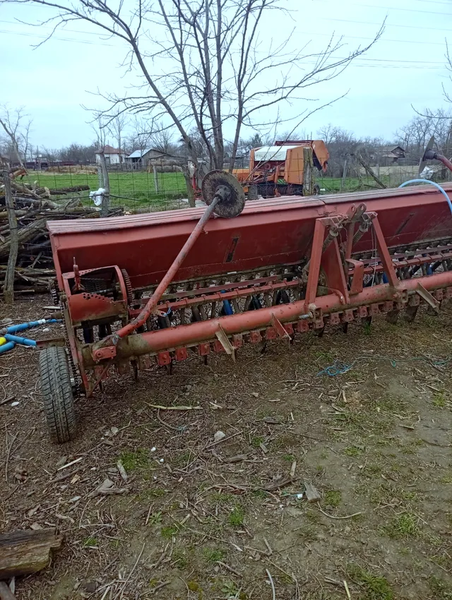 Miniatură 3