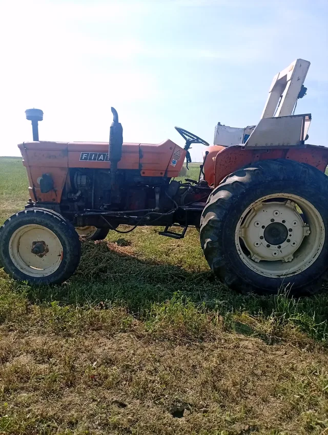 Miniatură 1