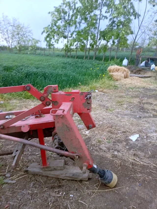 Miniatură 3