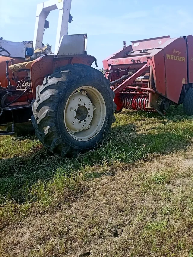 Miniatură 2